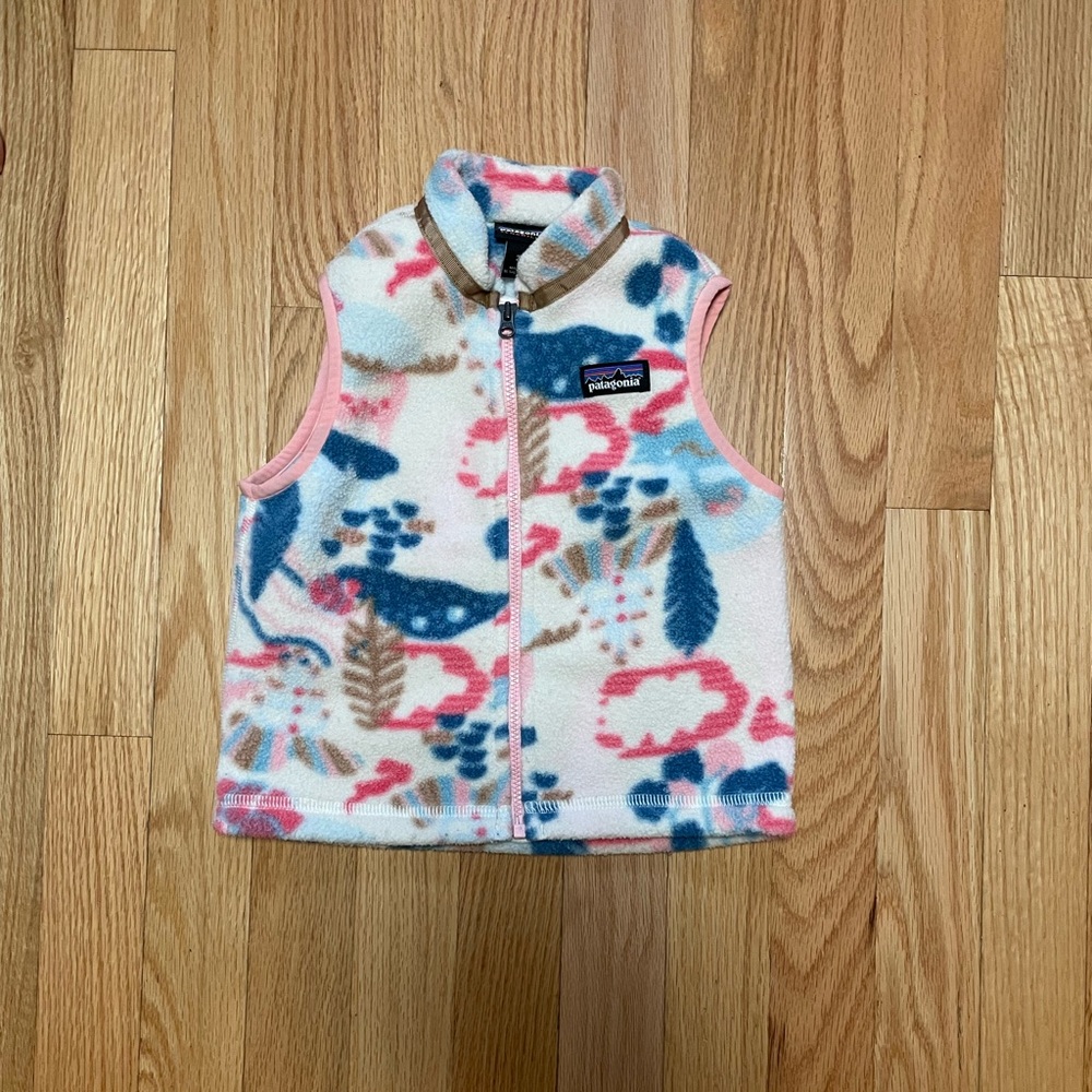 Patagonia Synchilla vest